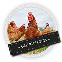Gallinas Libres